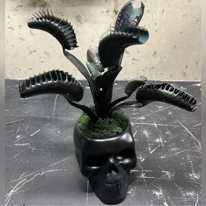 New Hand Crafted Black Venus Flytrap Ceramic Skull Planter Arrangement Goth Punk